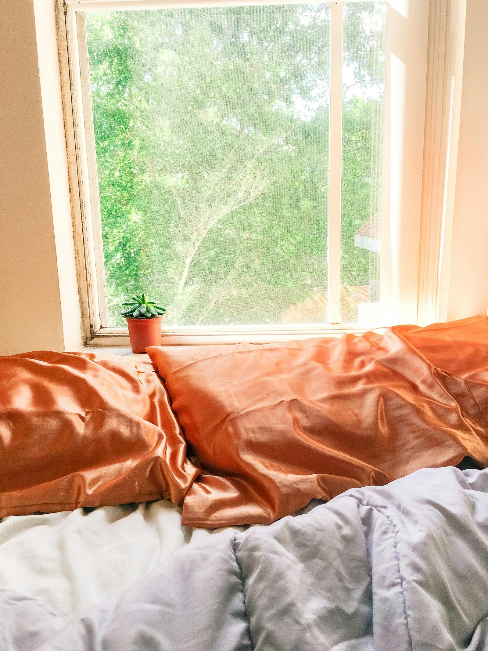 Soft pillows by a sunny window with greenery outside